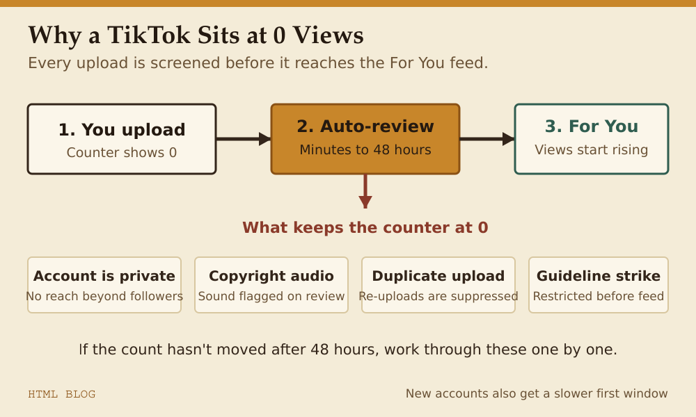 TikTok review flow: every upload is screened before reaching the For You feed